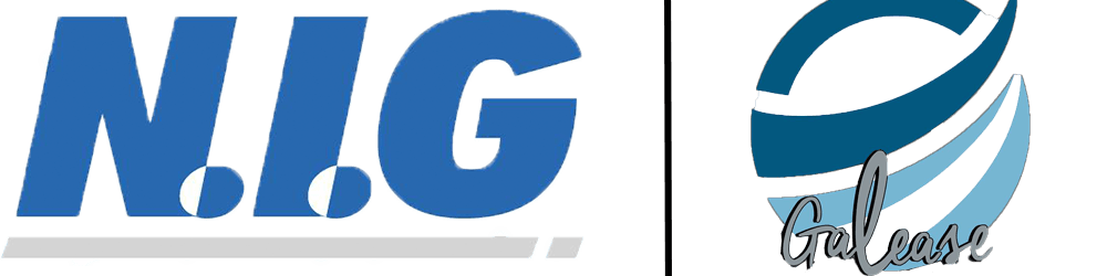 N.I.G / Galease