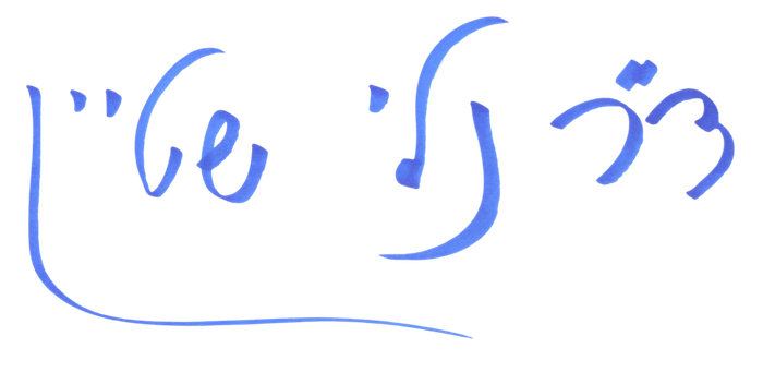 ד״ר נלי שטיין
